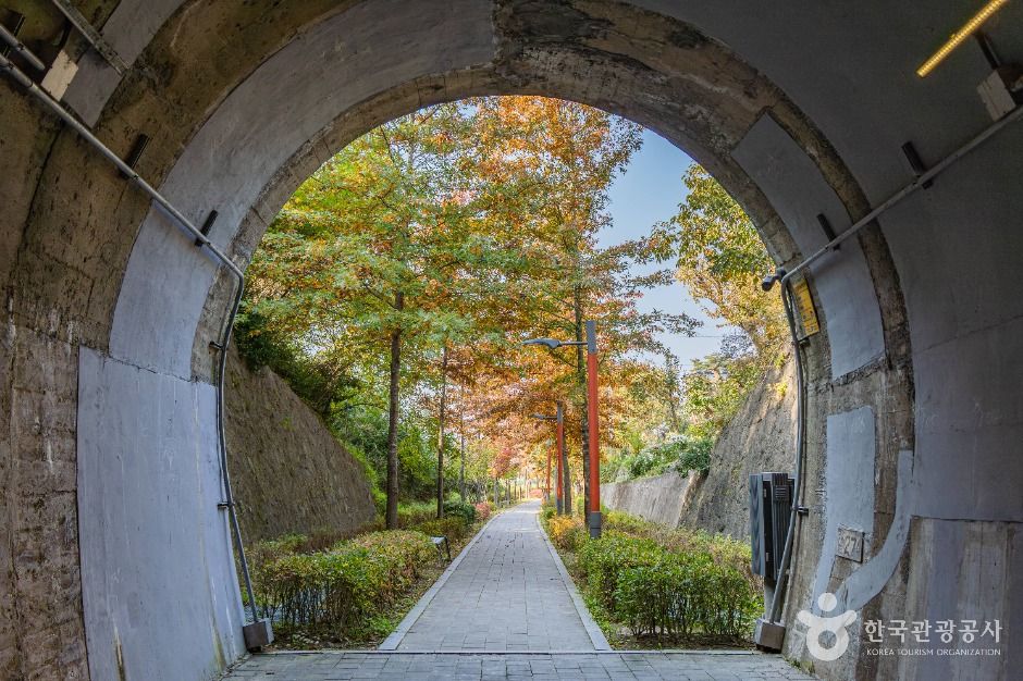 강릉_노암터널 (7)