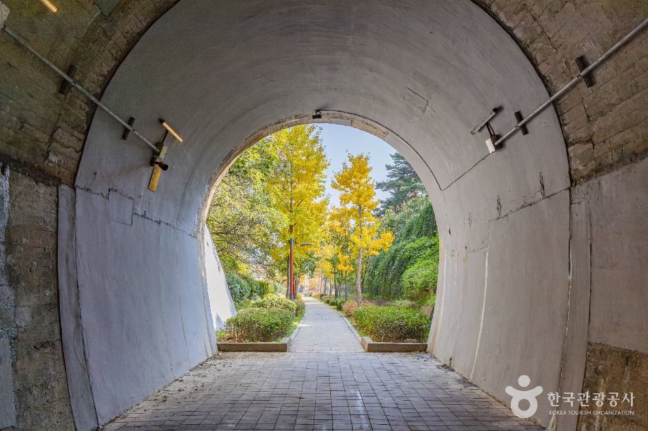 강릉_노암터널 (4)