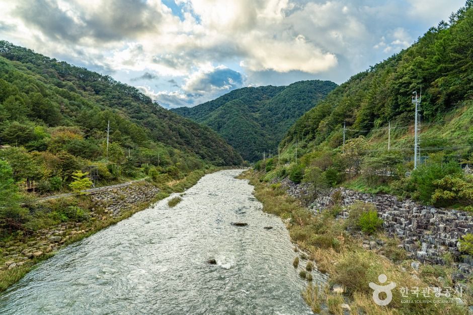 평창_뇌운계곡 (2)