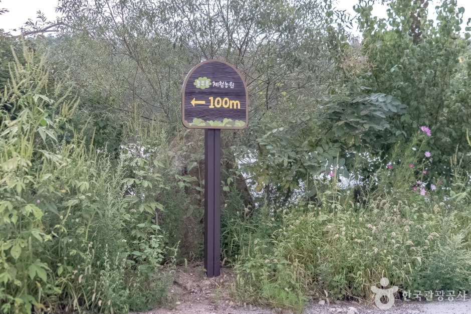 늘푸른체험농원5