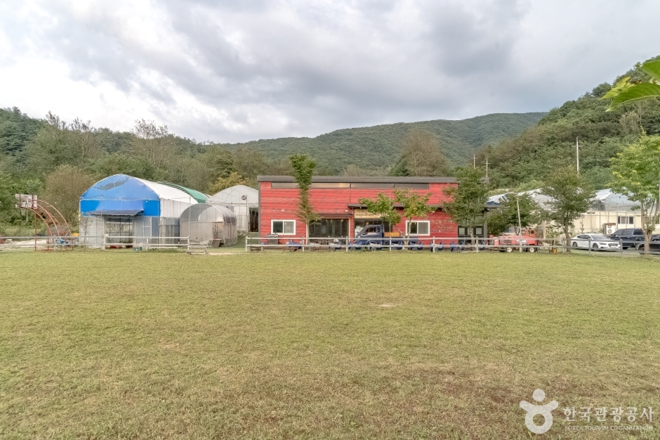 늘푸른체험농원6