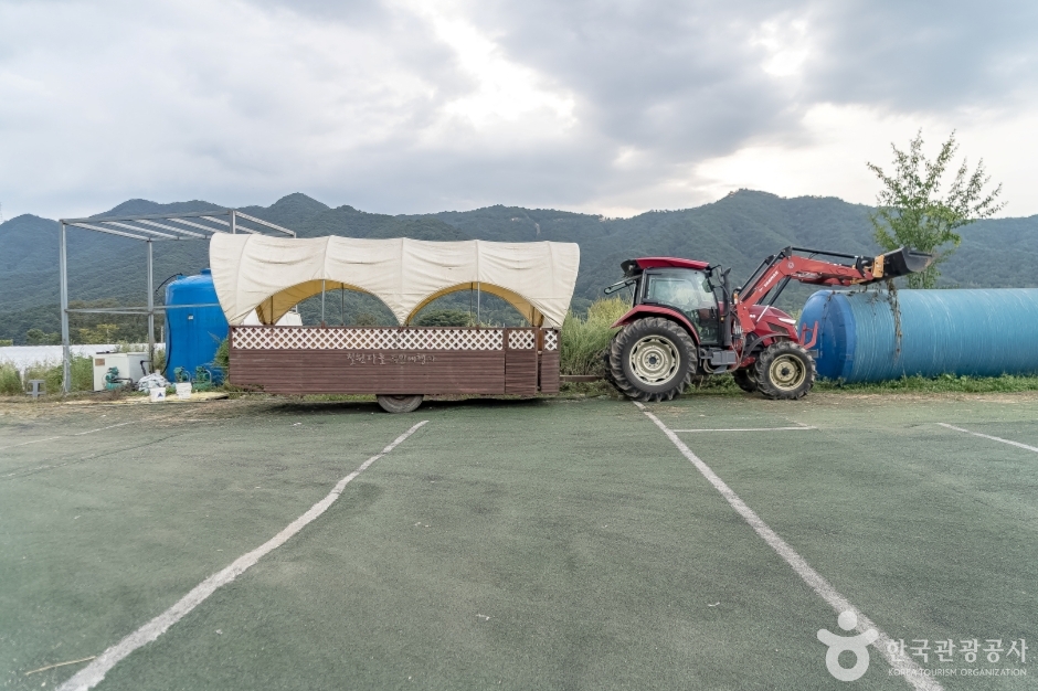 늘푸른체험농원7