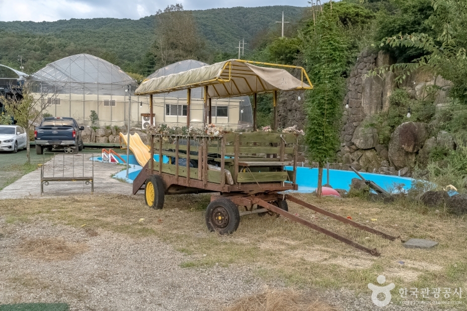 늘푸른체험농원9