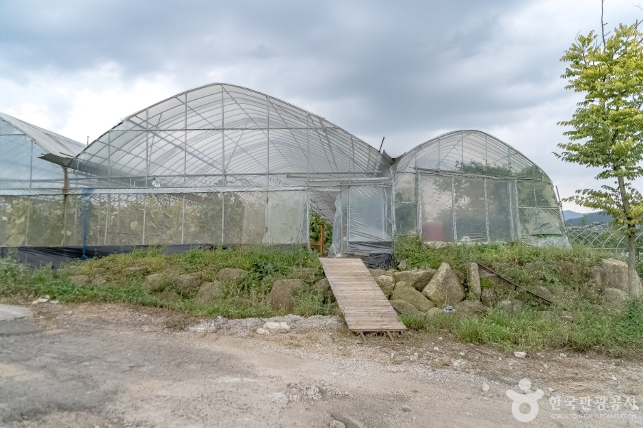 늘푸른체험농원