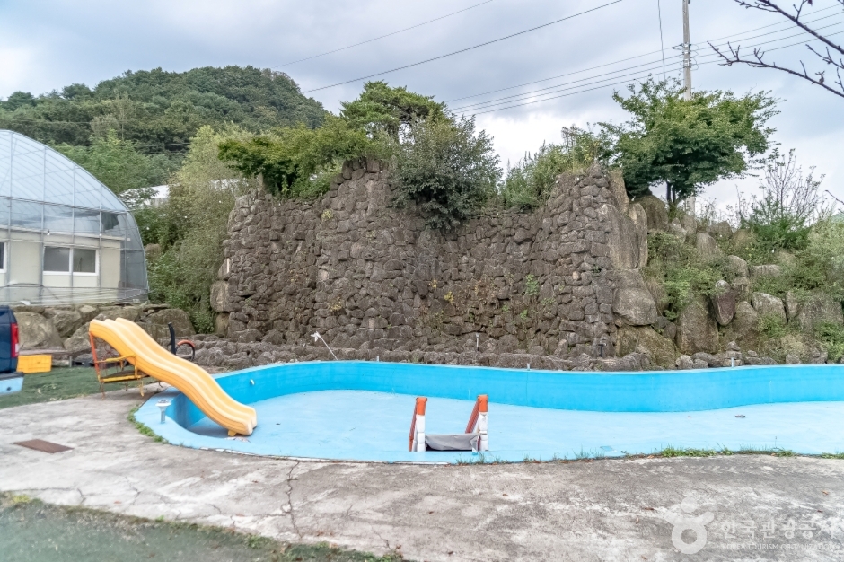 늘푸른체험농원14_수영장