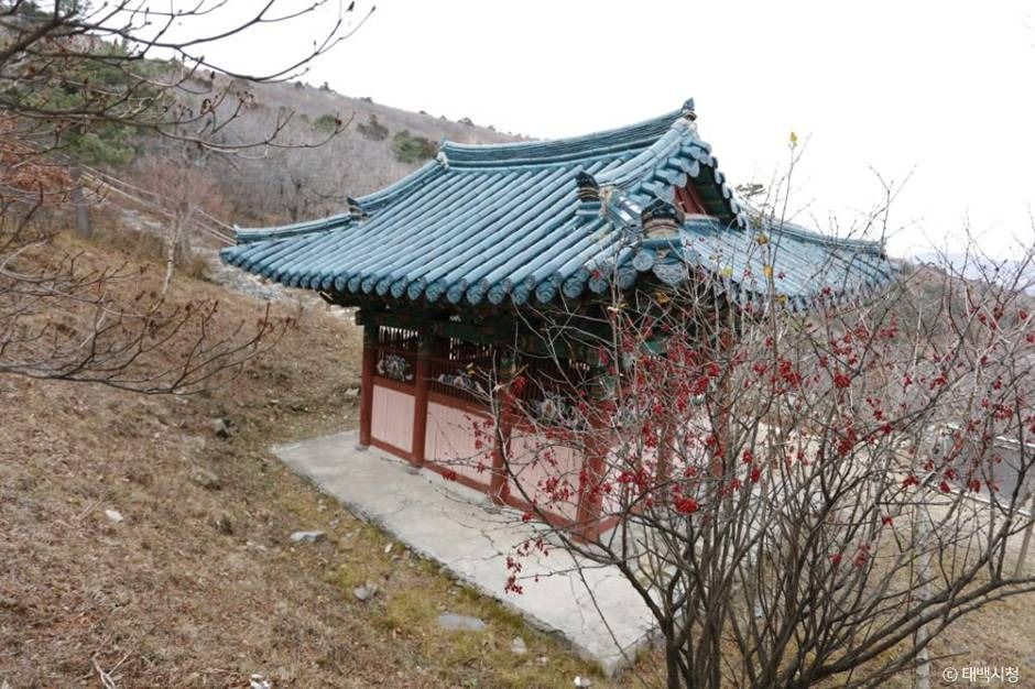 태백_단종대왕비 (3)