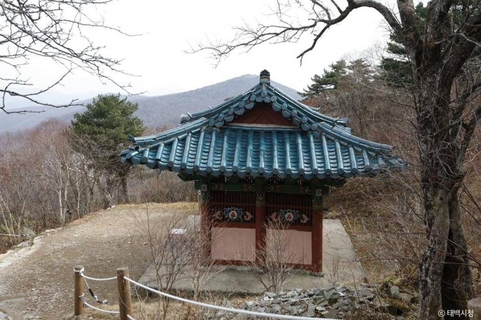 태백_단종대왕비 (2)