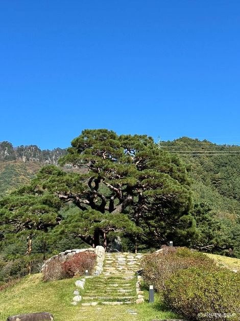 영월_단풍산 (1)