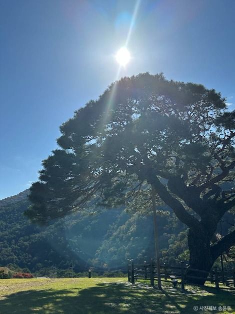 영월_단풍산 (2)