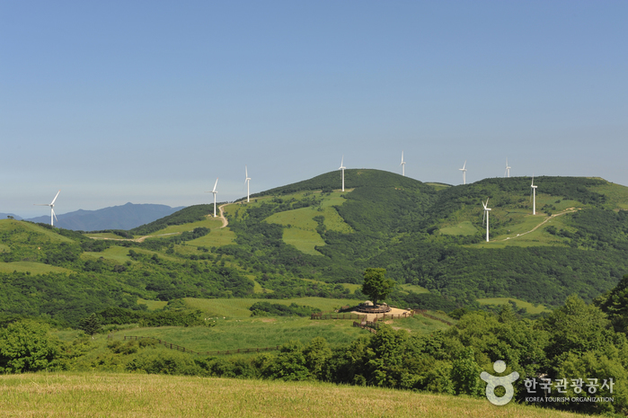 대관령 관광특구