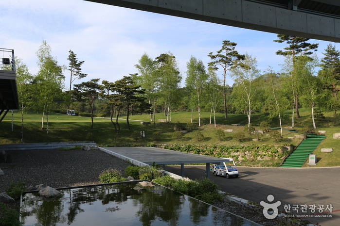 강원도_평창_휘닉스파크 골프클럽03