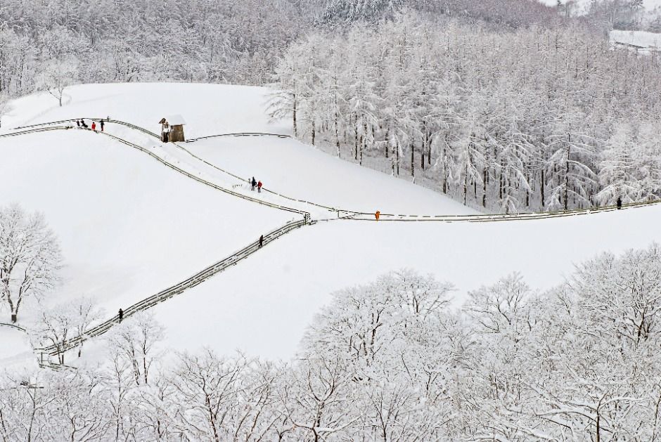 대관령 양떼목장 (9)