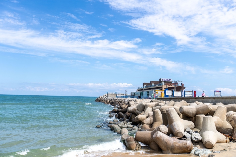 대진해수욕장_3