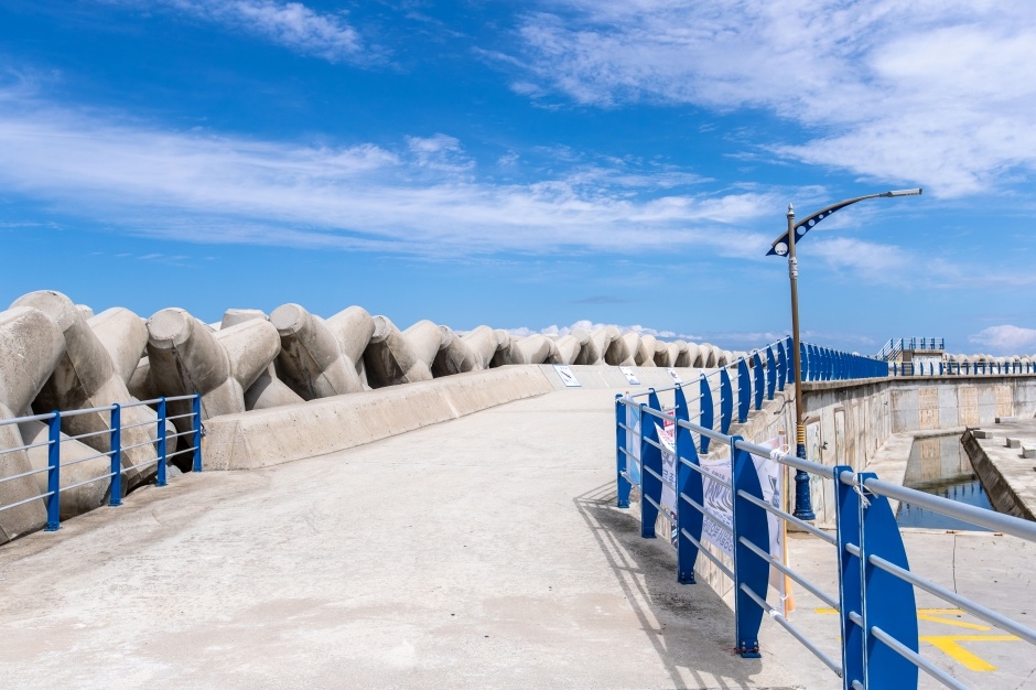 대진해수욕장_7