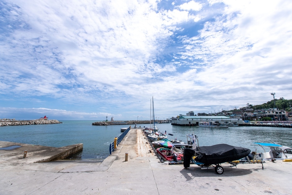 대진해수욕장_9