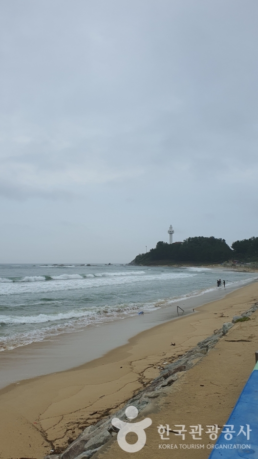 대진1리해변 (1)