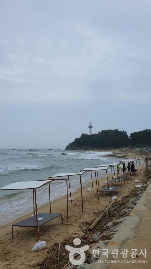 대진1리해변 (4)