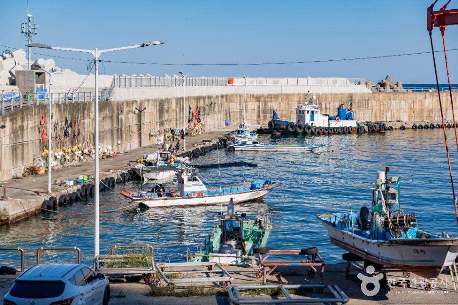 삼척_대진항(삼척) (3)