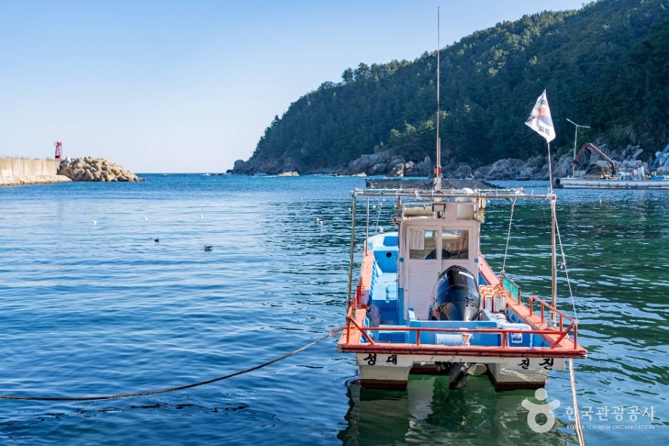 삼척_대진항(삼척) (6)