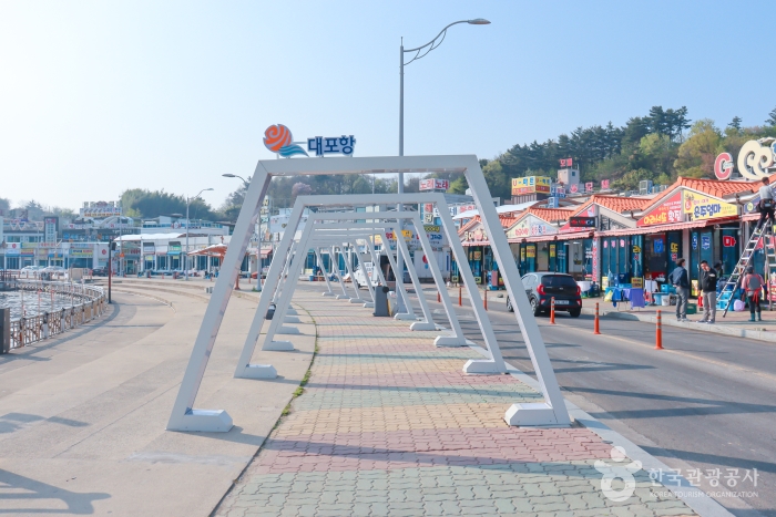 이 안에 속초 있다! 설악산과 동해 품은 신상 랜드마크 속초아이_대포항(튀김골목, 대포항전망대) 1-1