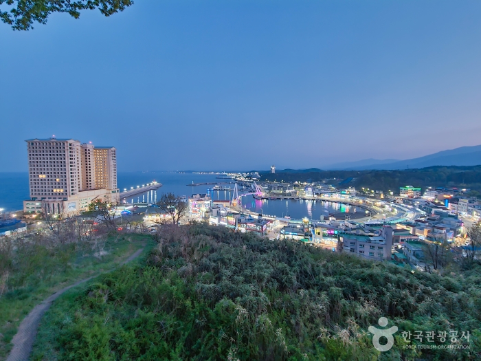 이 안에 속초 있다! 설악산과 동해 품은 신상 랜드마크 속초아이_대포항(튀김골목, 대포항전망대) 1-10