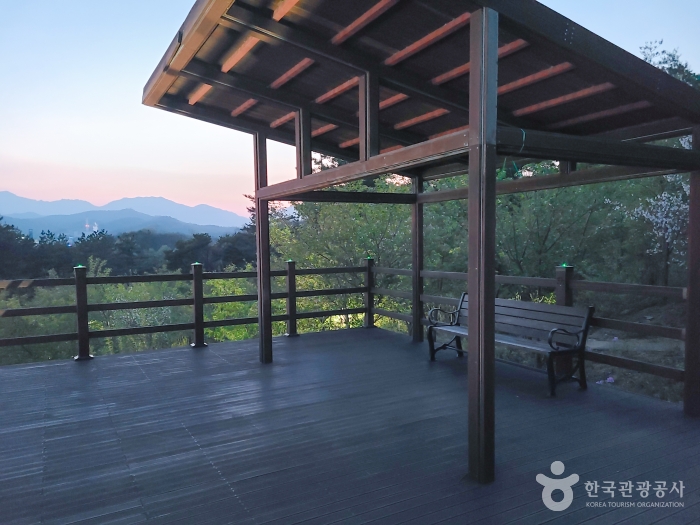 이 안에 속초 있다! 설악산과 동해 품은 신상 랜드마크 속초아이_대포항(튀김골목, 대포항전망대) 1-12