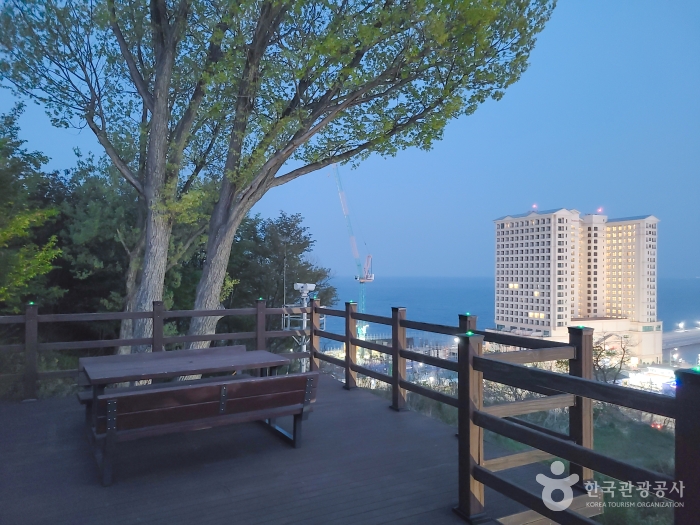 이 안에 속초 있다! 설악산과 동해 품은 신상 랜드마크 속초아이_대포항(튀김골목, 대포항전망대) 1-11