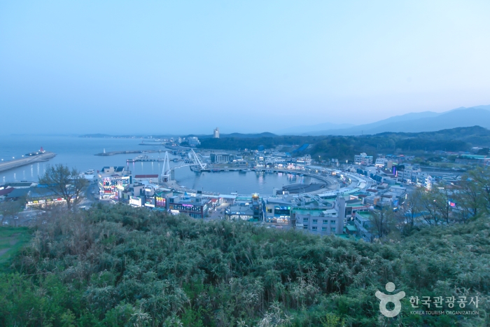 이 안에 속초 있다! 설악산과 동해 품은 신상 랜드마크 속초아이_대포항(튀김골목, 대포항전망대) 1-7