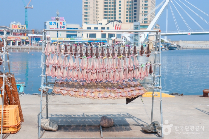 이 안에 속초 있다! 설악산과 동해 품은 신상 랜드마크 속초아이_대포항(튀김골목, 대포항전망대) 1-3