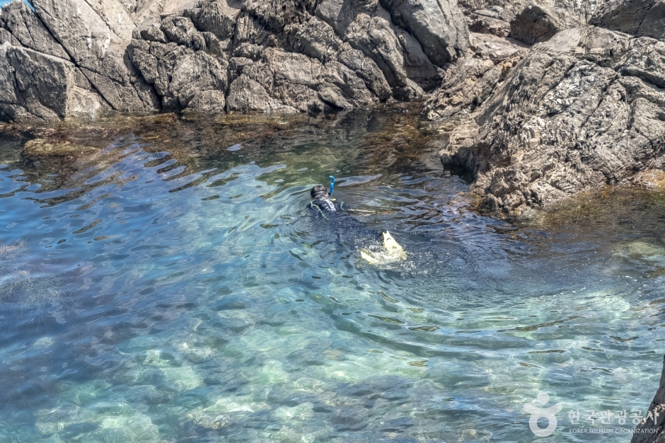 덕봉산앞바다스노쿨링