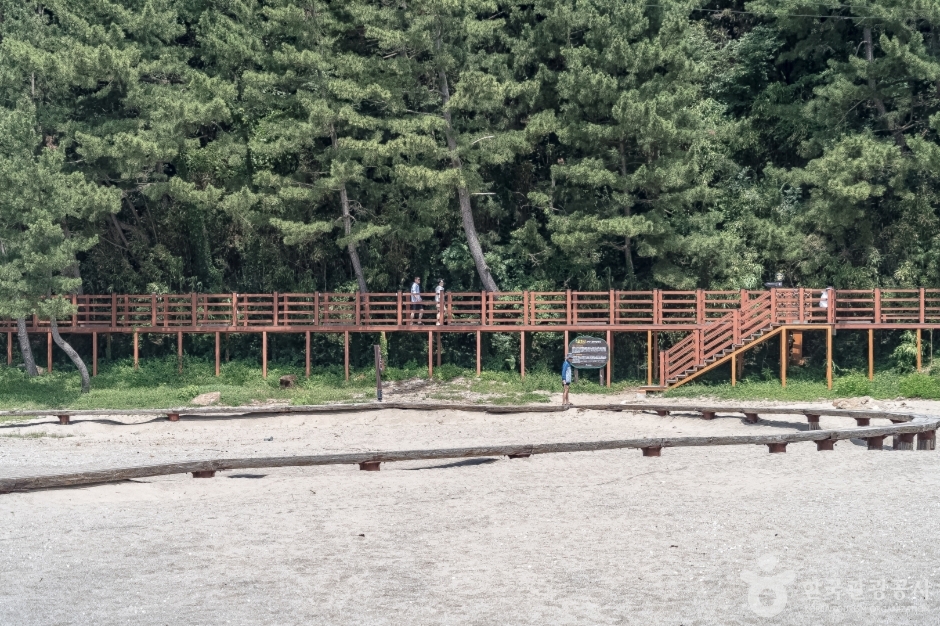 덕봉산해안탐방로1