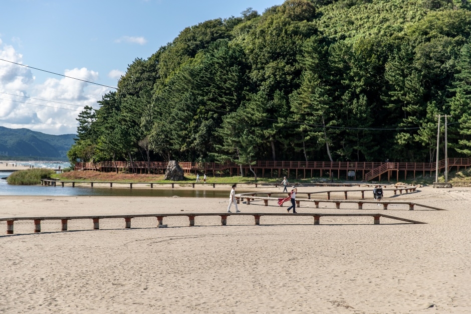 덕산해변_10
