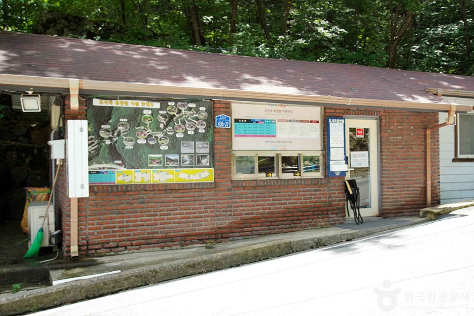 도사곡휴양림 (35)