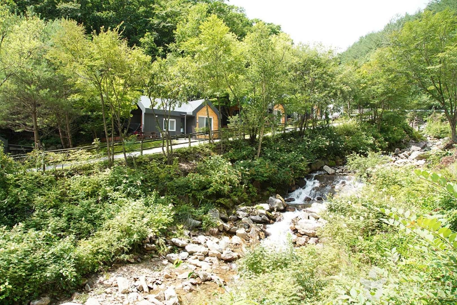 도사곡휴양림 (13)