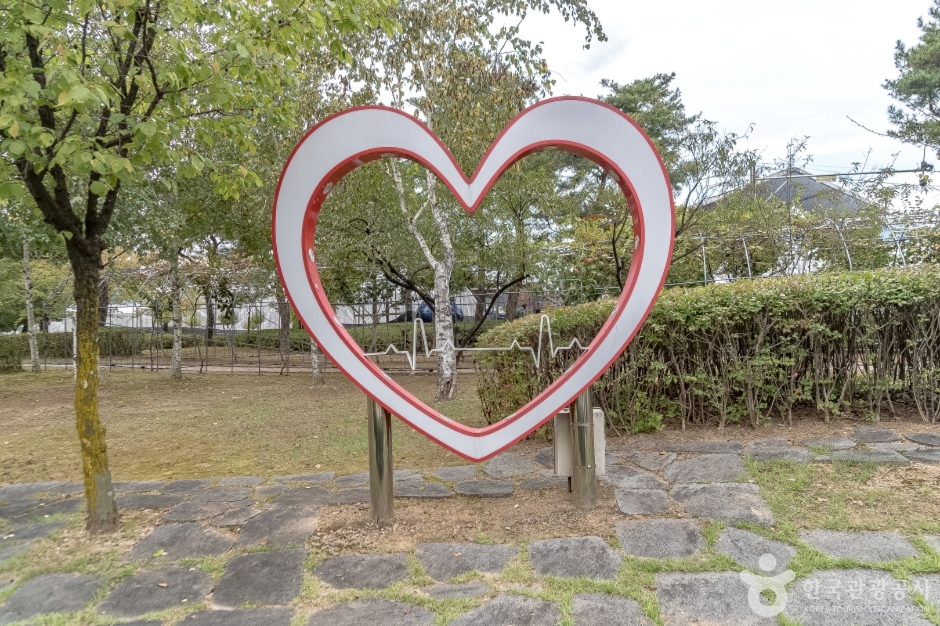 도시산림공원토리숲 (10)