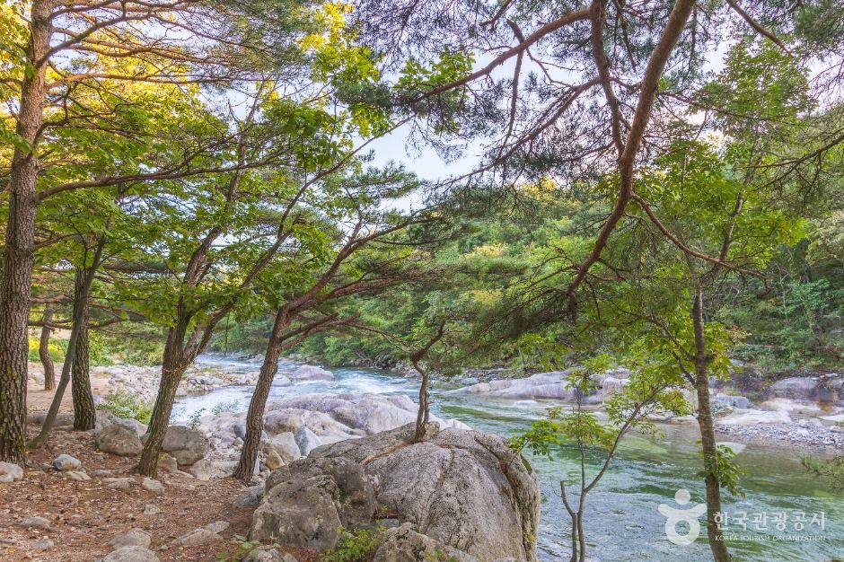 고성_도원리계곡 (5)
