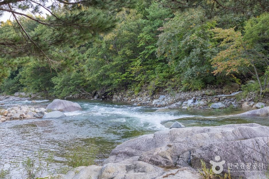 고성_도원리계곡 (6)