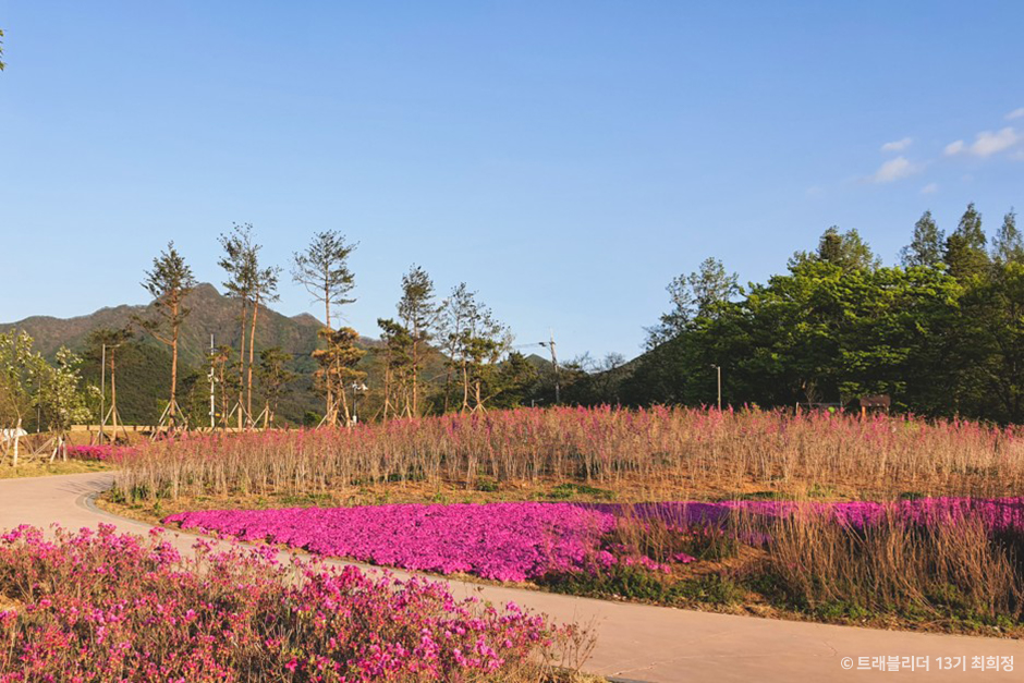 금강공원에코스튜디오