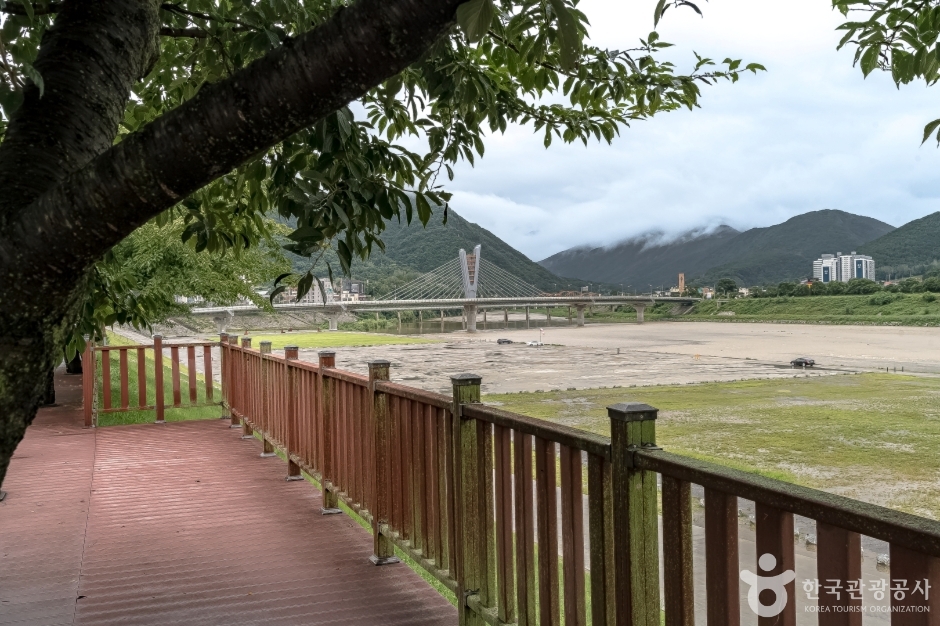 동강둔치공원 (4)