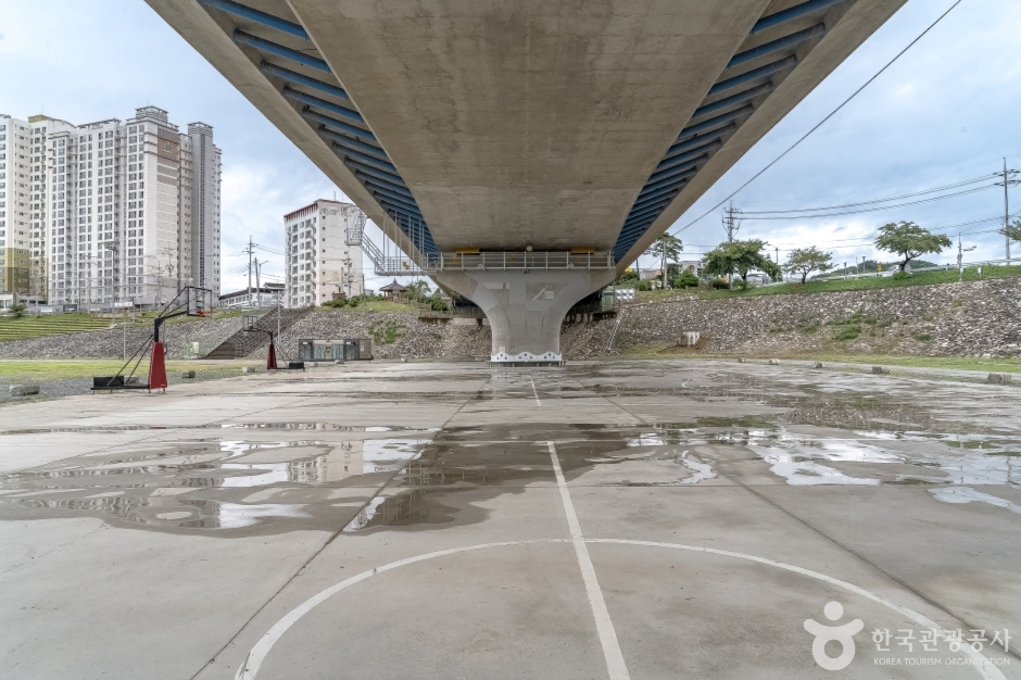 동강둔치공원 (7)