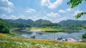 청령포 (강원고생대 국가지질공원)