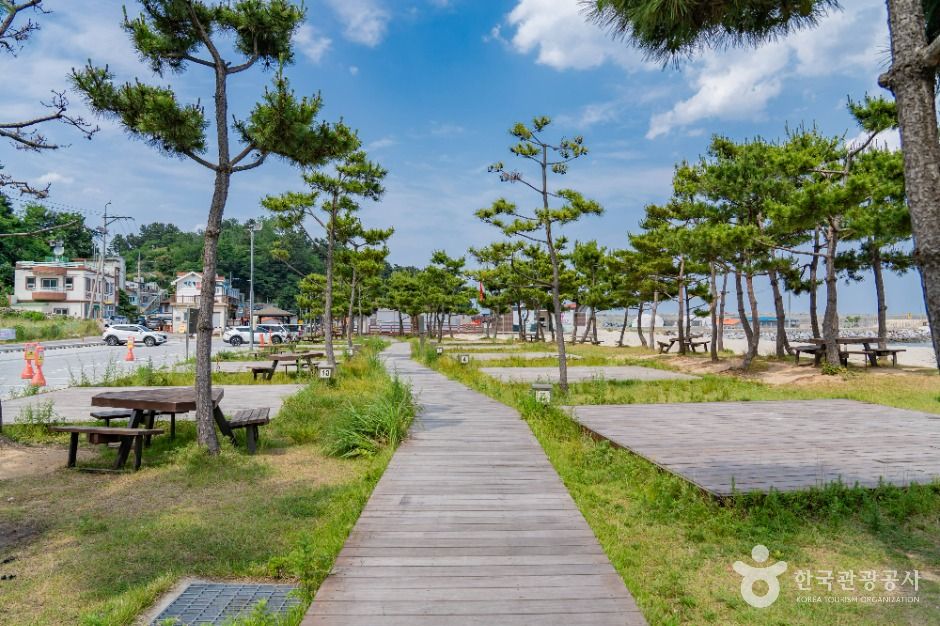 양양_동산포해수욕장 (2)