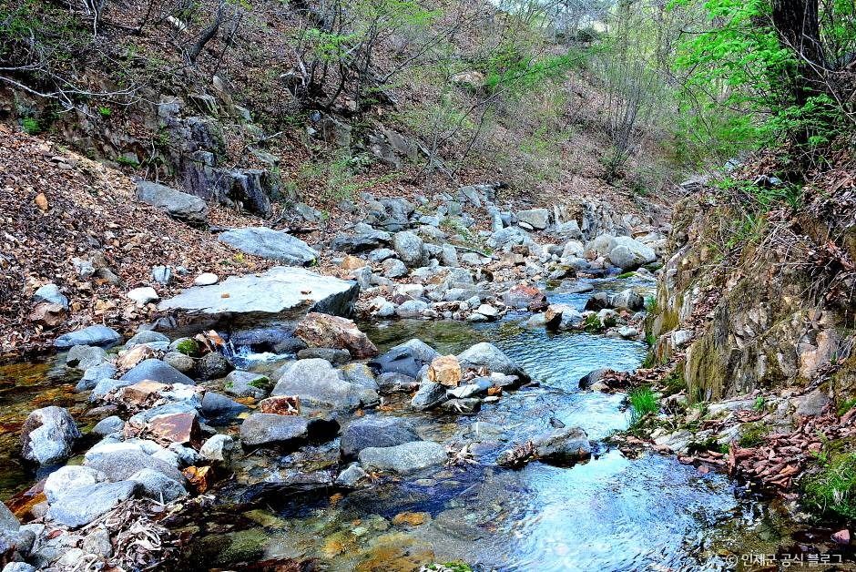 인제 동아실계곡 (5)