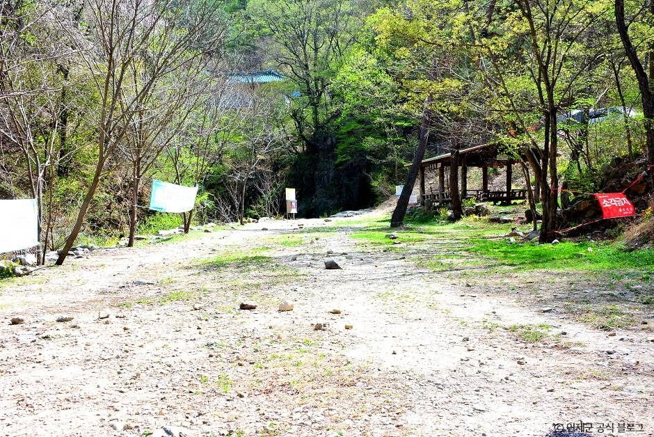 인제 동아실계곡 (1)