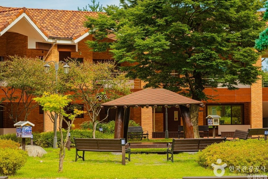 동해무릉건강숲 (1)