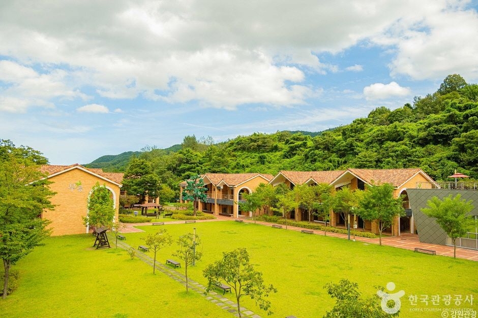 동해무릉건강숲 (4)