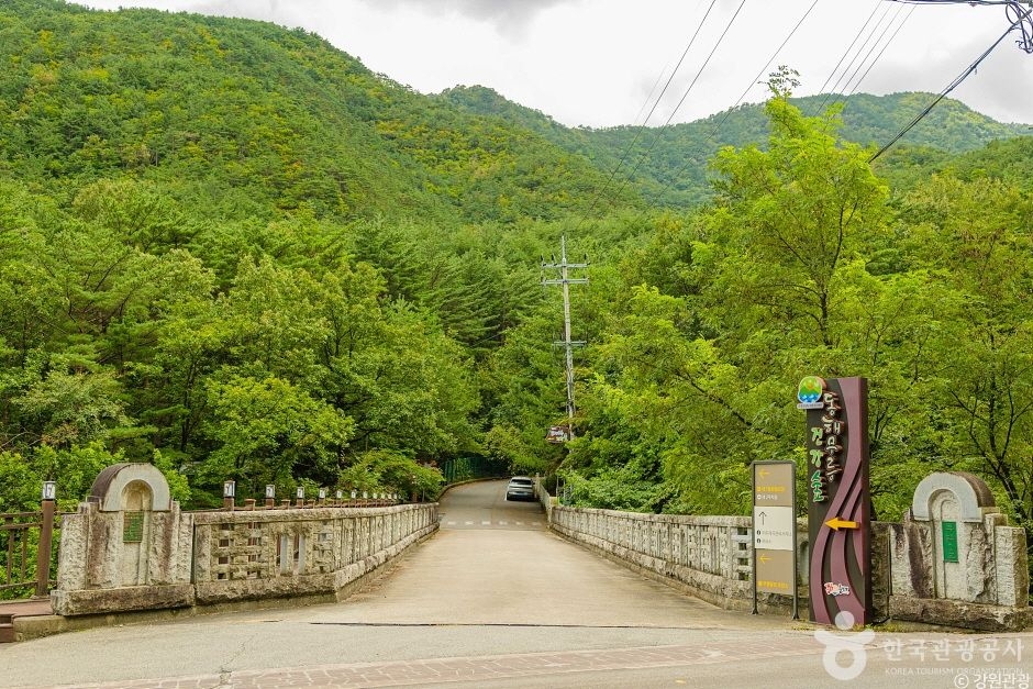 동해무릉건강숲 (2)