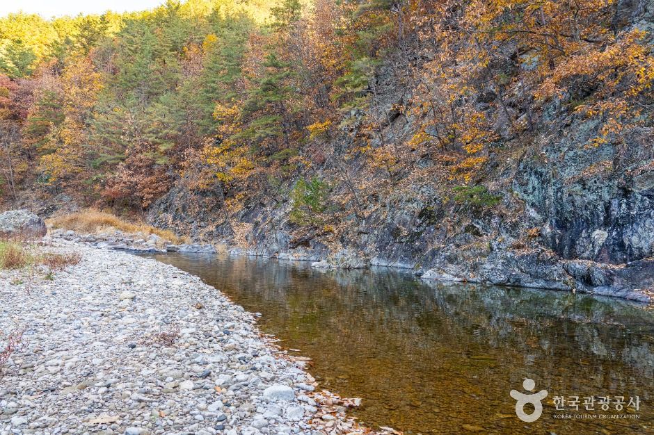 삼척_동활계곡 (4)