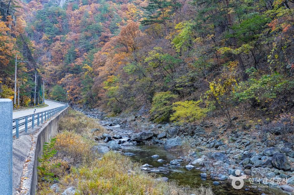 삼척_동활계곡 (1)