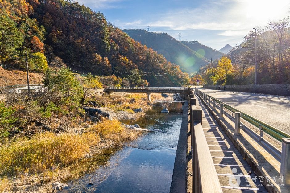 삼척_동활계곡 (8)